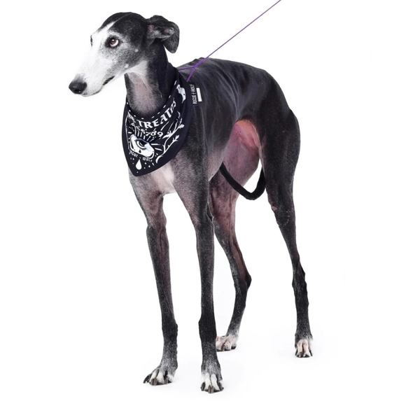 Rogue + Wolf ✦ “Give Me Treatos” Reversible Pet Bandana ✦ Black Ouija Vegan XS/S - Picture 7 of 14